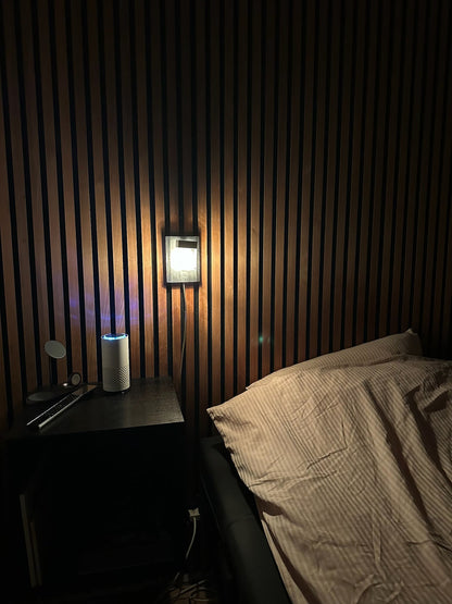 Purificateur d'air Omena™