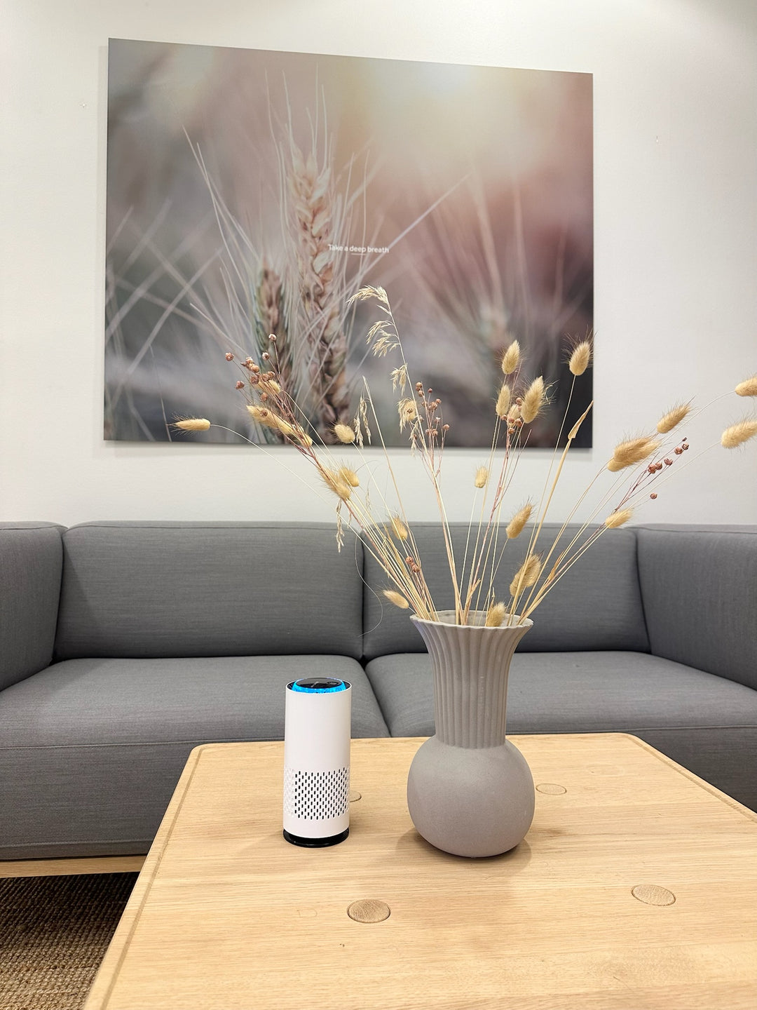 Purificateur d'air Omena™