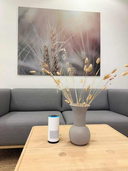 Purificateur d'air Omena™